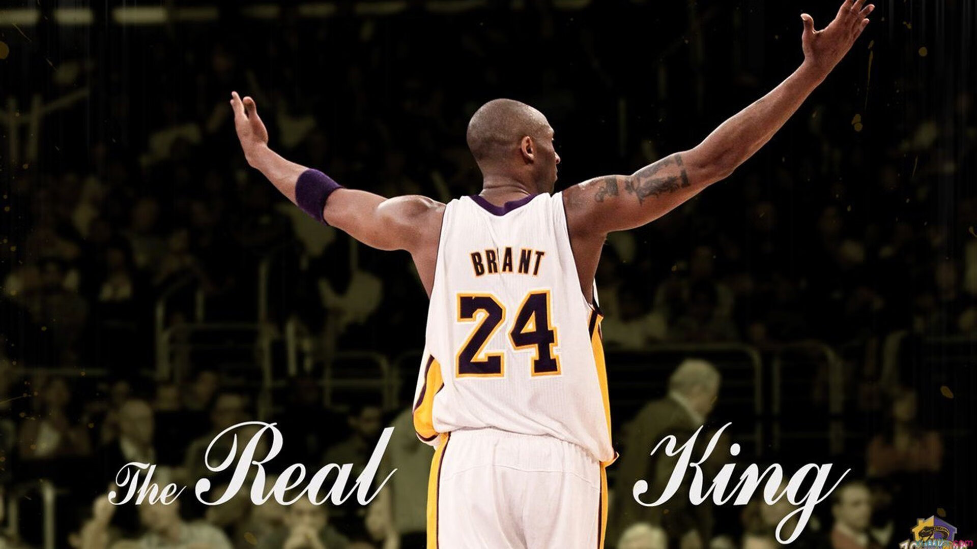 勇士组织“球员文化互换周”,多国球员互教语言,勇士队球员简介